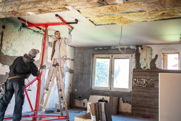 Best Insulation Maintenance and Repair in Rincon Valley, AZ